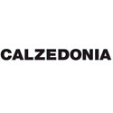 calzedonia